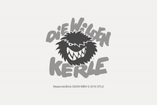 Die wilden Kerle